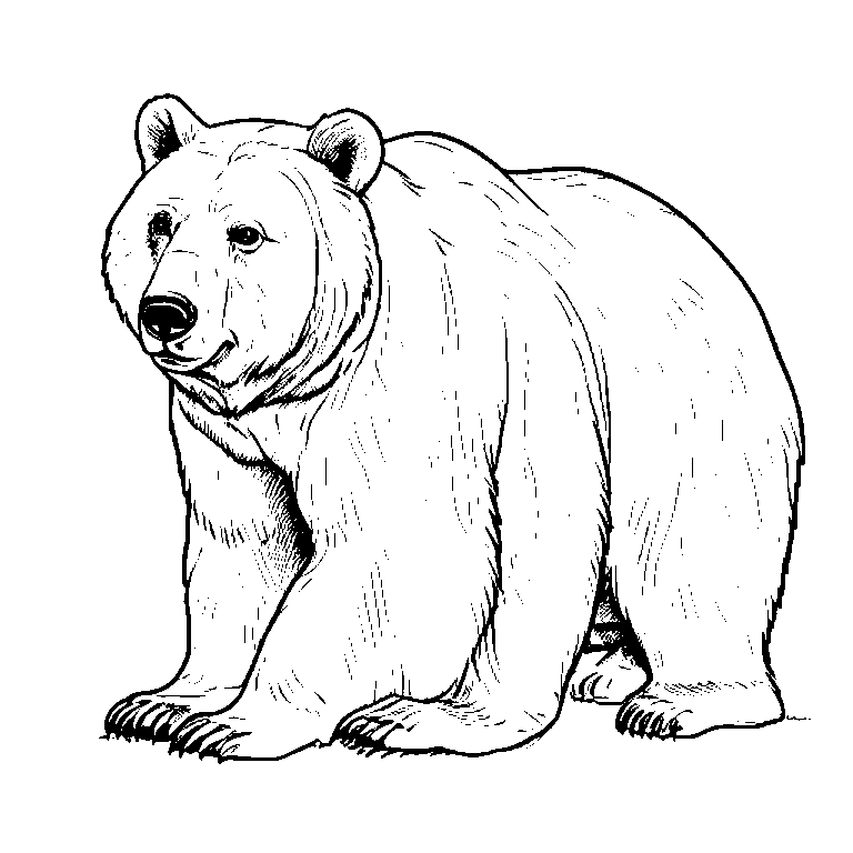 coloring_page_outline_simple_black_and_white_line_art_a_bear.png