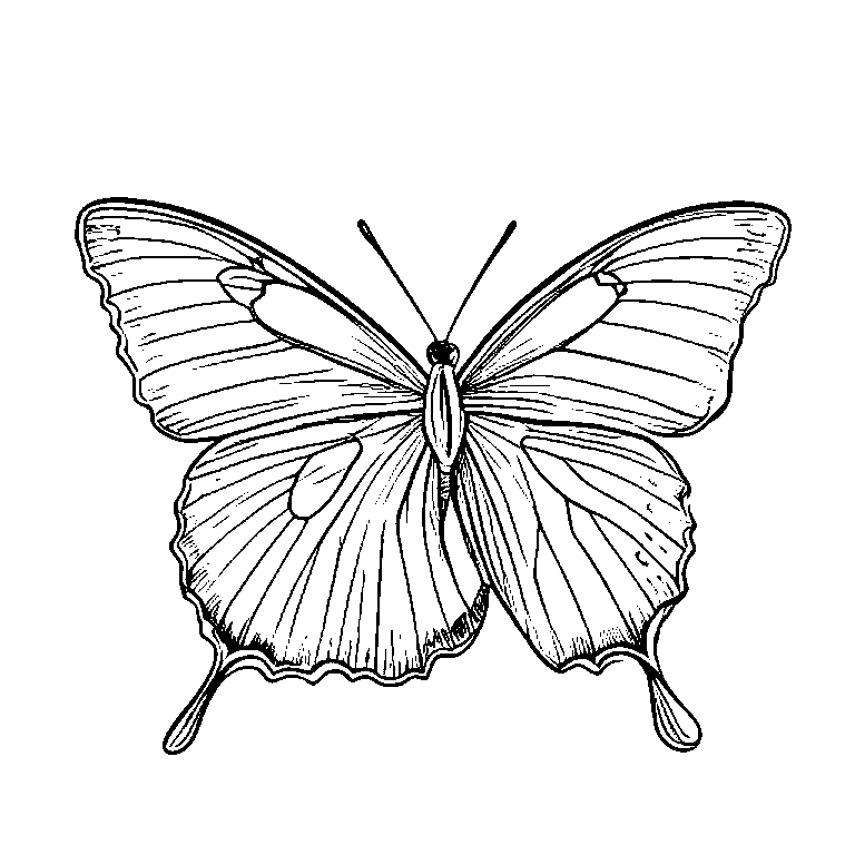 coloring_page_outline_simple_black_and_white_line_art_a_butt.png