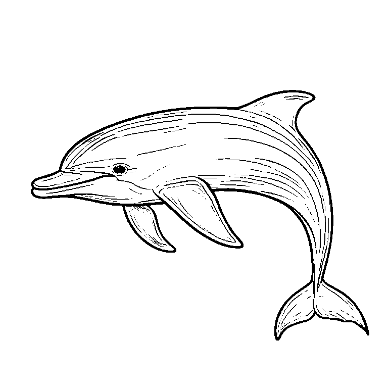 coloring_page_outline_simple_black_and_white_line_art_a_dolp.png