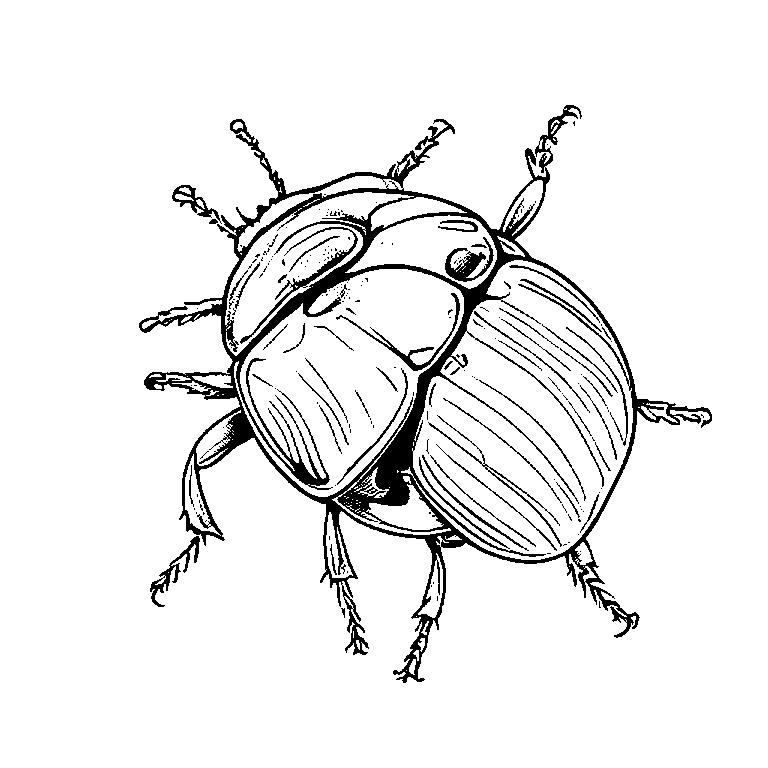 coloring_page_outline_simple_black_and_white_line_art_a_lady.png