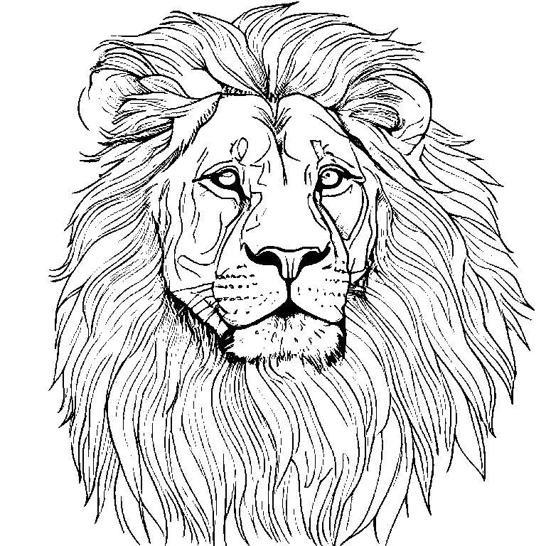 coloring_page_outline_simple_black_and_white_line_art_a_lion.png