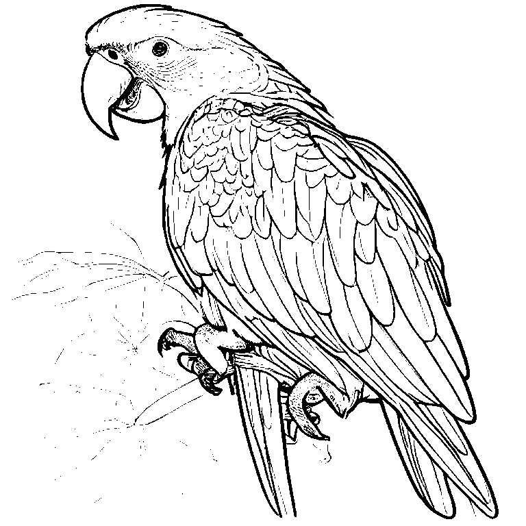 coloring_page_outline_simple_black_and_white_line_art_a_parr.png