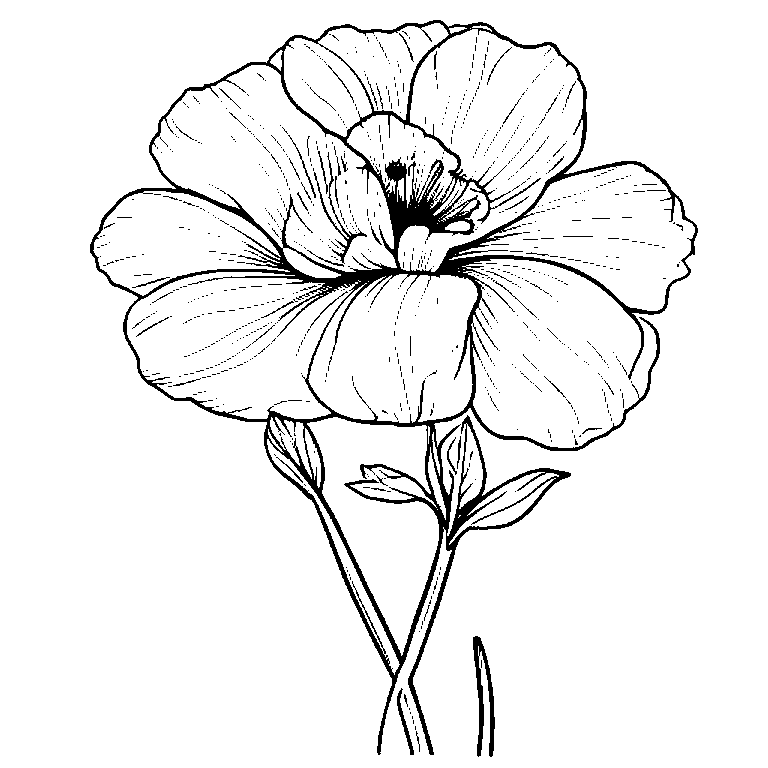 coloring_page_outline_simple_black_and_white_line_art_a_flow.png