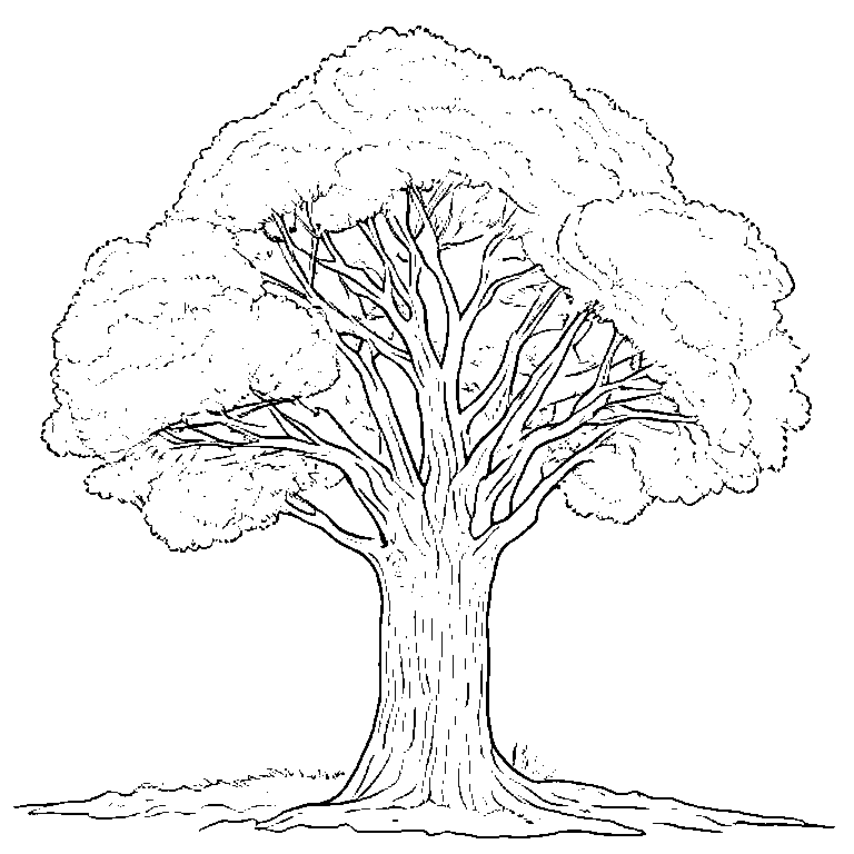 coloring_page_outline_simple_black_and_white_line_art_a_tree.png