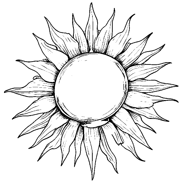 coloring_page_outline_simple_black_and_white_line_art_the_su.png