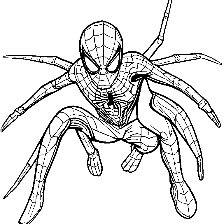 coloring_page_outline_simple_black_and_white_line_art_Spider.png